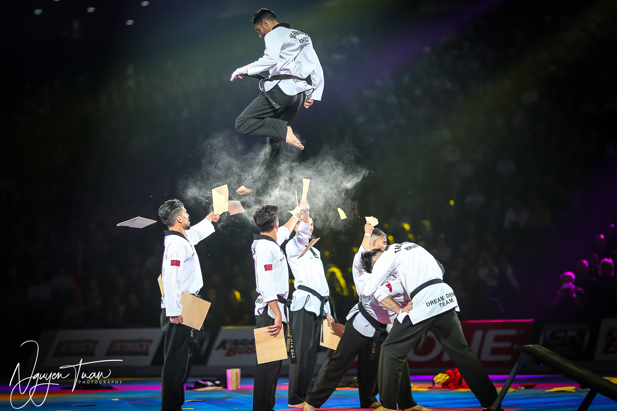 20190324 Festival des Arts Martiaux 7604